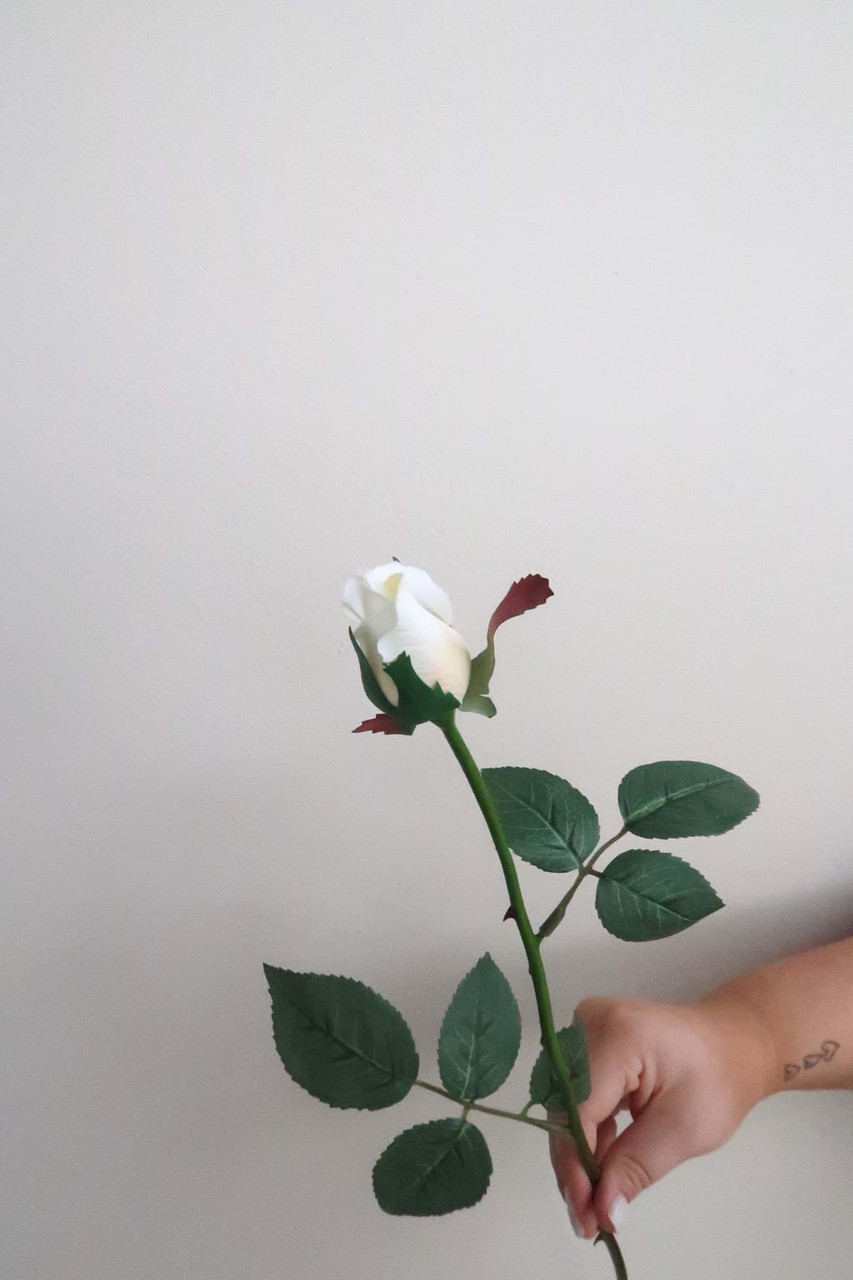 Vanilla Rose Bud