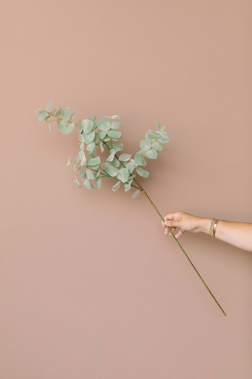 Spiral Eucalyptus Spray