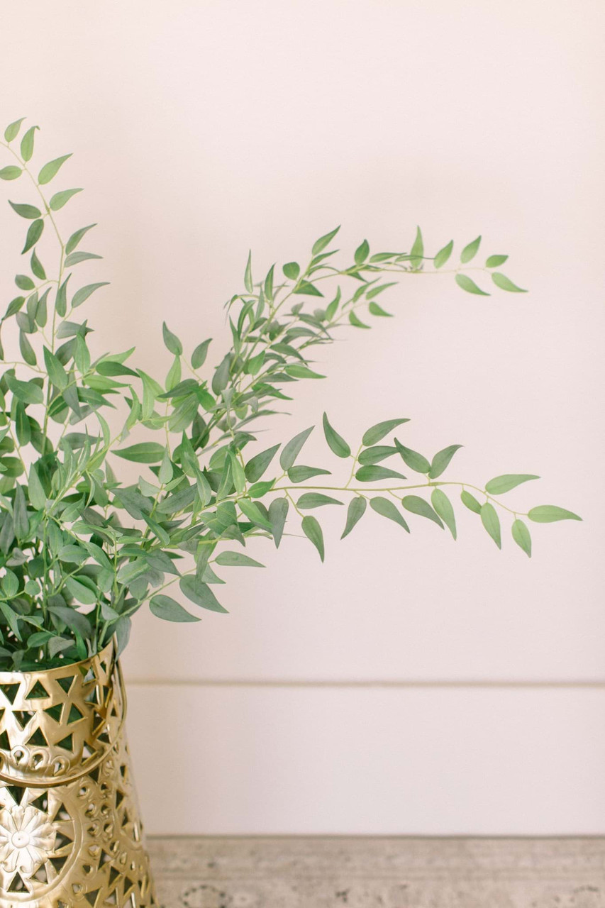 Italian Ruscus Bundle