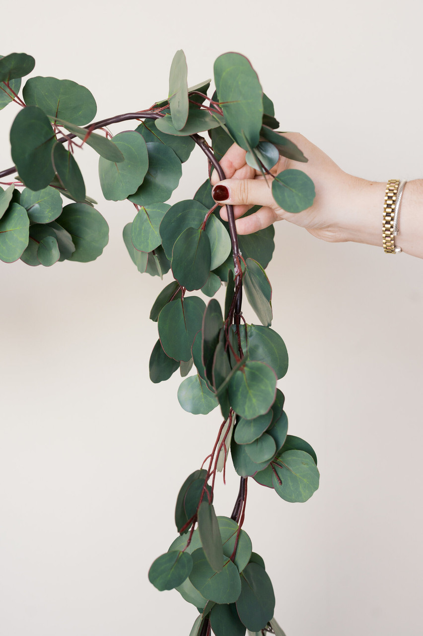 Silver Dollar Eucalyptus Garland