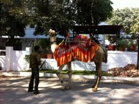 Welcome to India! (Day 1)