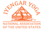 IYNAUS Responds to NY Times Article “How Yoga Can Wreck Your Body”