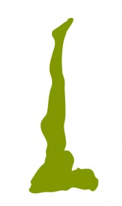 I Left My Heart in San Francisco but My Ego on the Mat (India – Day 8)