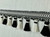 Black & Winter White Tassel Fringe Trim T3.25" Width F-80/47-1 Interior design / Upholstery / Drapery / Home Decorating / Embellishment 