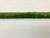Grass Green Faux Silk Raffia Thick Brush Fringe 1.5" Width Trim (Top to Bottom) BRF-6/14 Upholstery / Drapery / Interior Design / Home Furnishing / Designer Double Thickness/ Luxury Decorative Fringe
