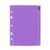 COLOURHIDE BINDERMATE PENCIL CASE A5 (PURPLE)
