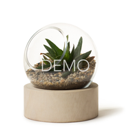 [Sample&91; Orbit Terrarium - Small