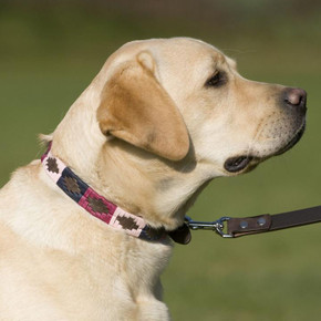 Dog Collar Navy/Pink/Berry  - Small Only (12"-15")