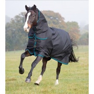 The toughest of the Tempest Plus rugs, offering 300g heavyweight protection for cold temperatures. This combo rug features an integrated contour neck cover which fastens with double sided touch close straps. Key features: ShireTex® 1200 denier ripstop, waterproof and breathable outer with taped seams, fully lined, 300g polyfill, adjustable buckle chest straps, adjustable cross surcingles and fillet strap, integrated leg strap loops, tail flap WarmaRug Compatible - Upgrade this rug's warmth rating using separate rug liners in 100g or 200g. Tempest Plus for reassuring weather protection.