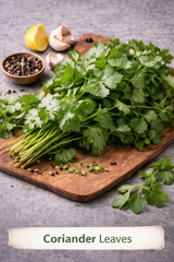 Organic Coriander Leaves Bunch