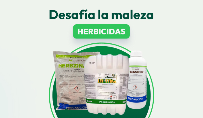 Herbicida