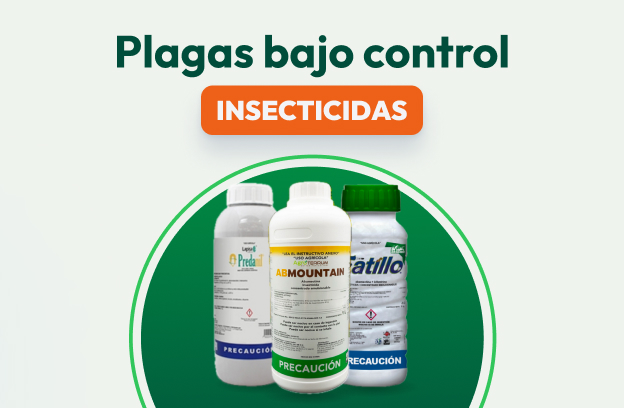 Insecticida