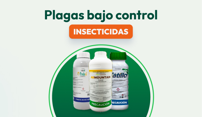 Insecticida