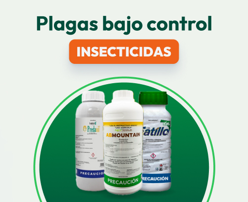 Insecticida