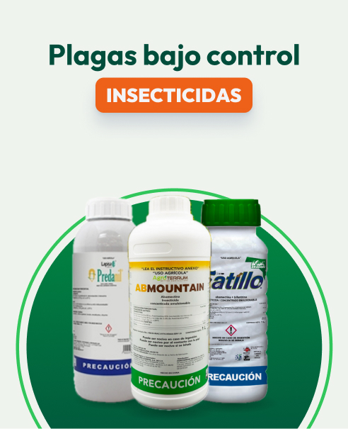 Insecticida