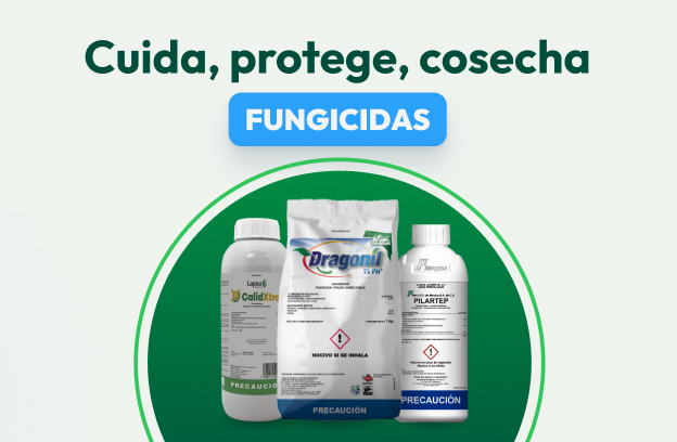 Fungicida