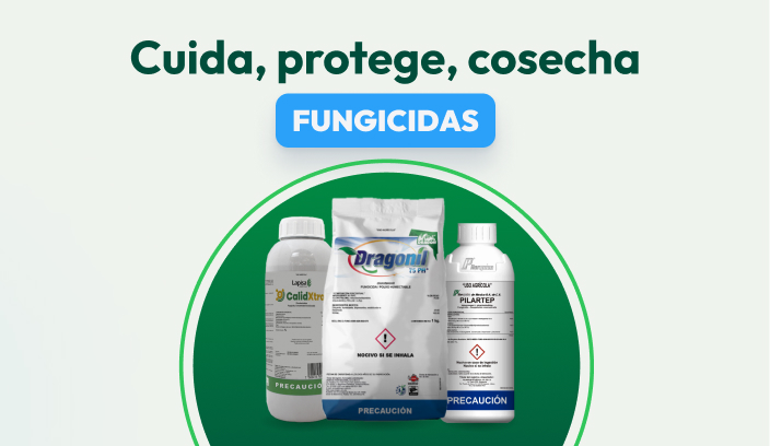 Fungicida