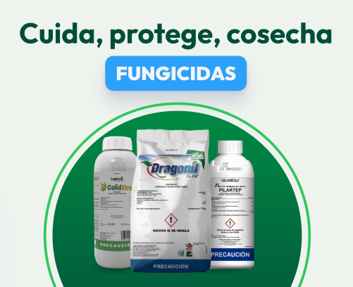 Fungicida