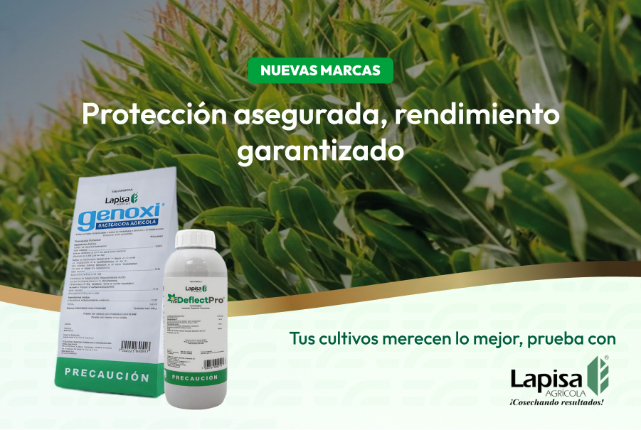 Nuevas marcas