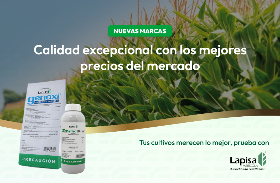 Nuevas marcas