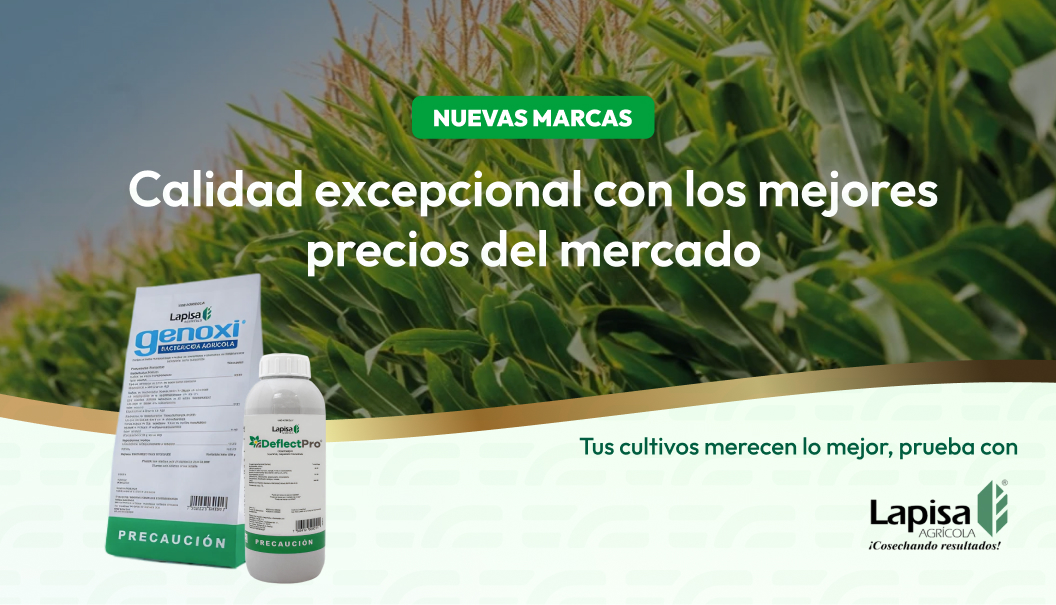 Nuevas marcas