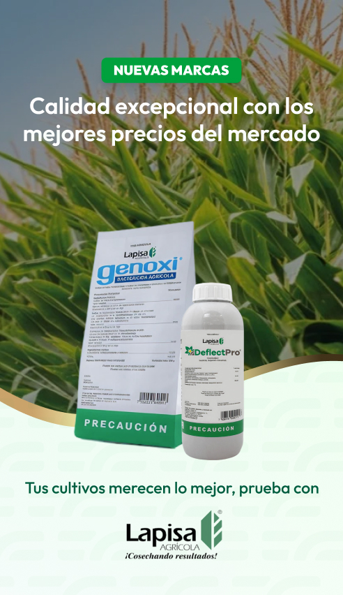 Nuevas marcas
