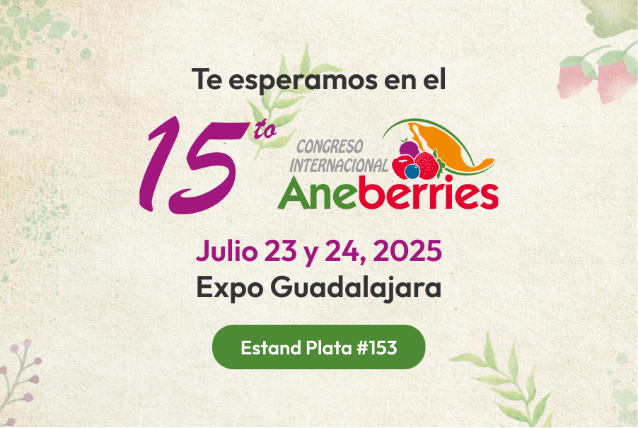 Aneberries