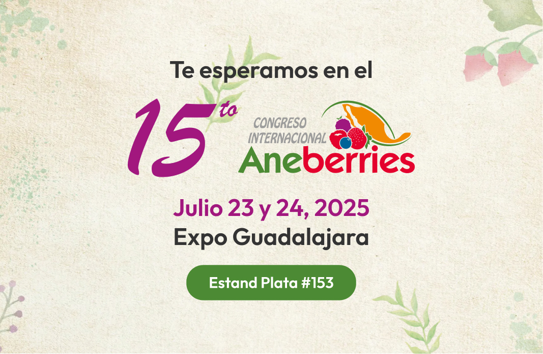 Aneberries