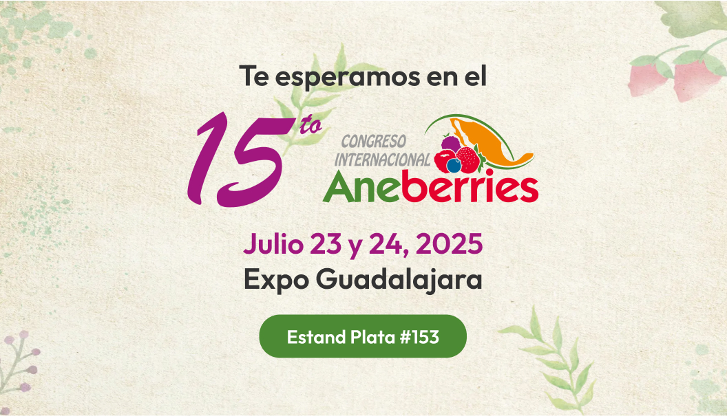 Aneberries