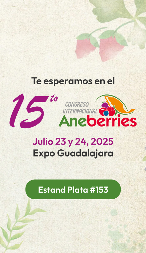 Aneberries