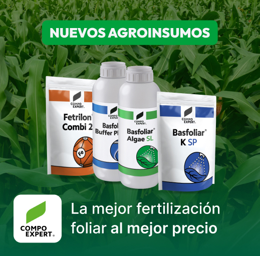 Comparador