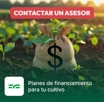 Financiamiento