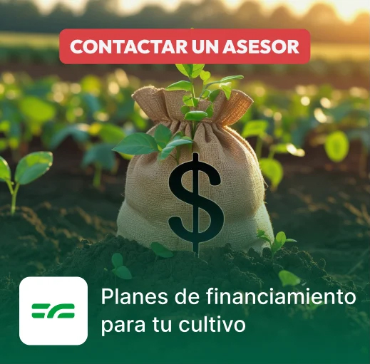 Financiamiento