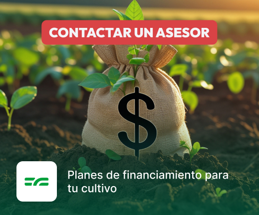 Financiamiento