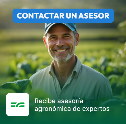 Asesorías Agronómicas