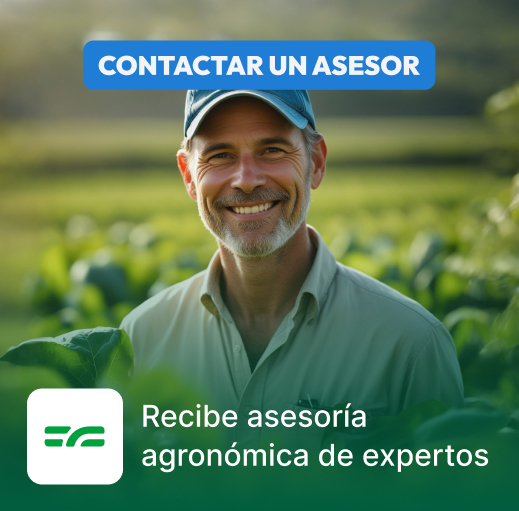 Asesorías Agronómicas