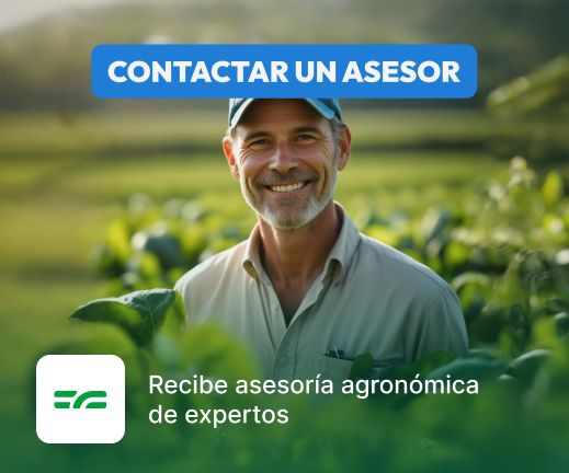 Asesorías Agronómicas