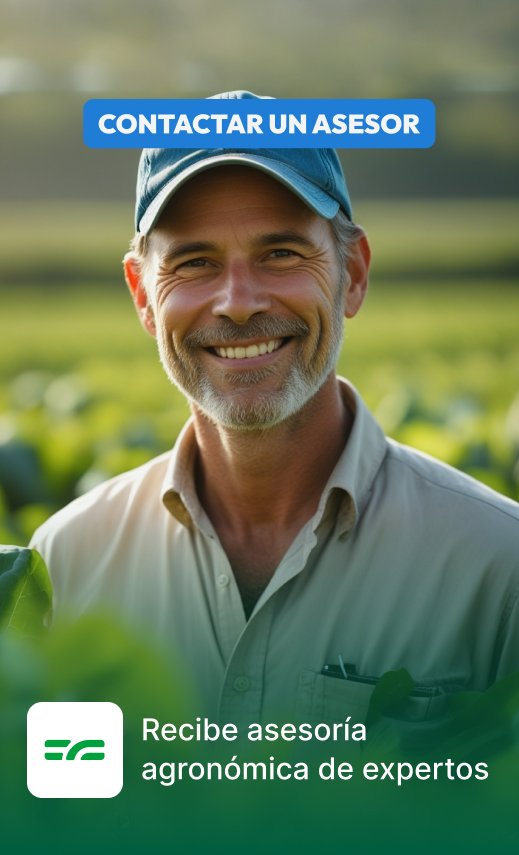 Asesorías Agronómicas