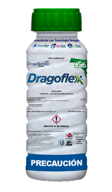 Dragon-Dragoflex 1 Lt