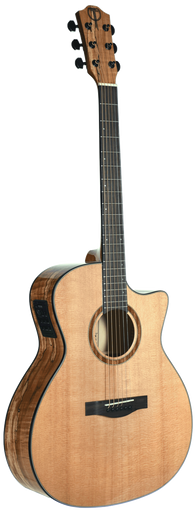 Teton STA130SMCENT Acoustic Auditorium. Solid Spruce Top, Spalted Maple Back/Sides, Fishman Sonitone, Gloss, Natural