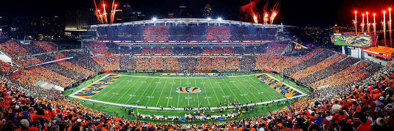 Cincinnati Bengals Stripe the Jungle Oversized Panoramic Picture - Paycor Stadium