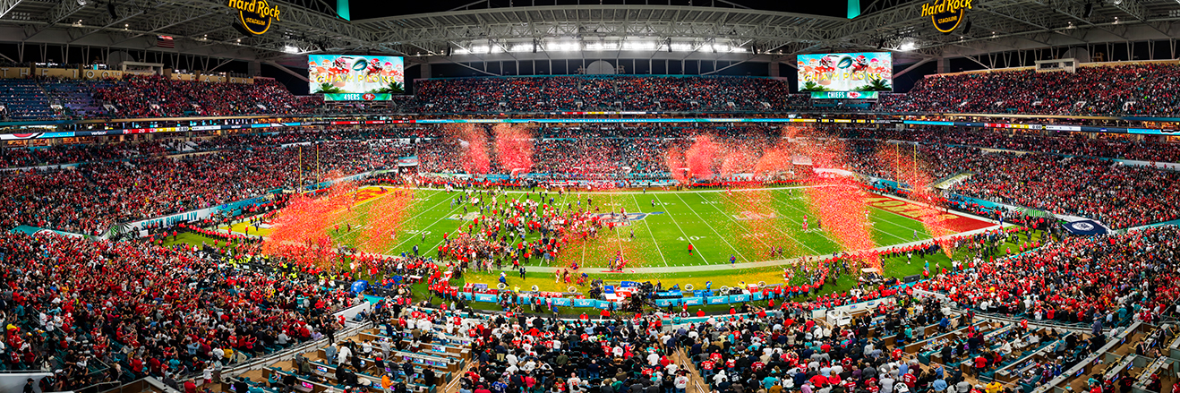 Minnesota Vikings Metrodome Final Game Panoramic Picture (In-Store Pic –  Fan HQ