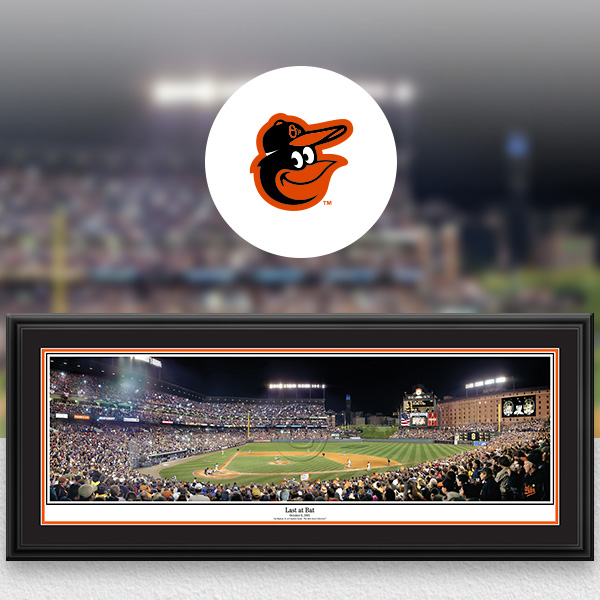 Baltimore Orioles MLB Baseball Framed Panoramic Fan Cave Decor