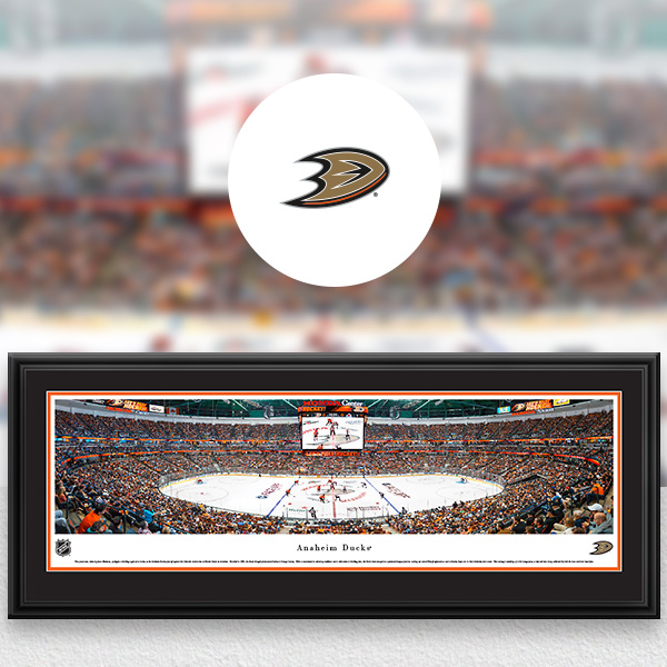 Anaheim Ducks - Anaheim Ducks's Photos  Anaheim ducks, Duck photo, Anaheim  angels