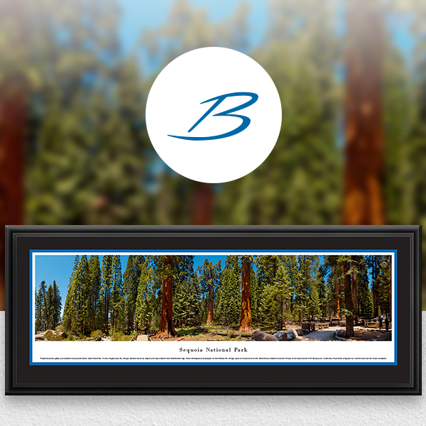 Sequoia National Park Scenic Landscape Panoramic Wall Art