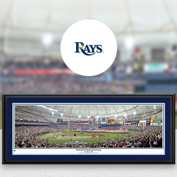 Tampa Bay Rays MLB Baseball Framed Panoramic Fan Cave Decor