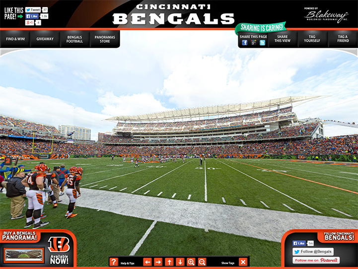 : Cincinnati Bengals, Paycor Stadium - 44x18-inch Double
