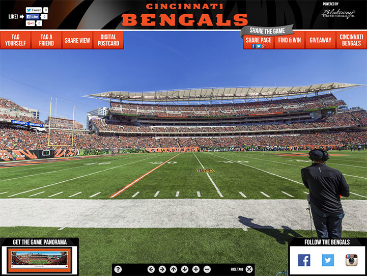 Cincinnati Bengals Gigapixel Fan Photo