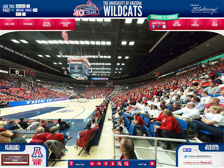 Arizona Wildcats Gigapixel Fan Photo