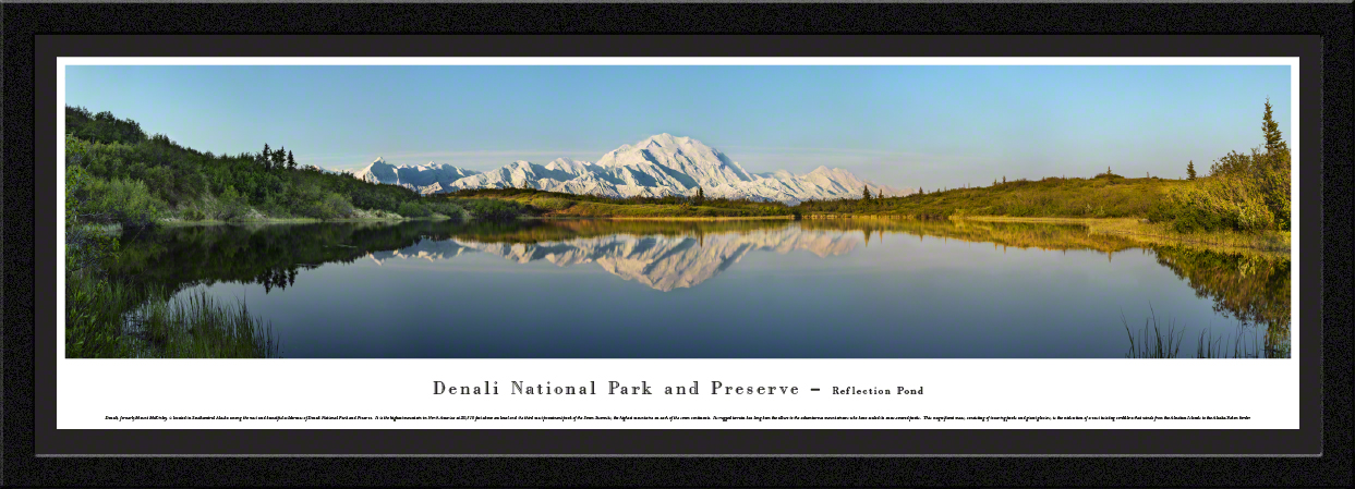 Denali National Park - Panoramic Wall Decor